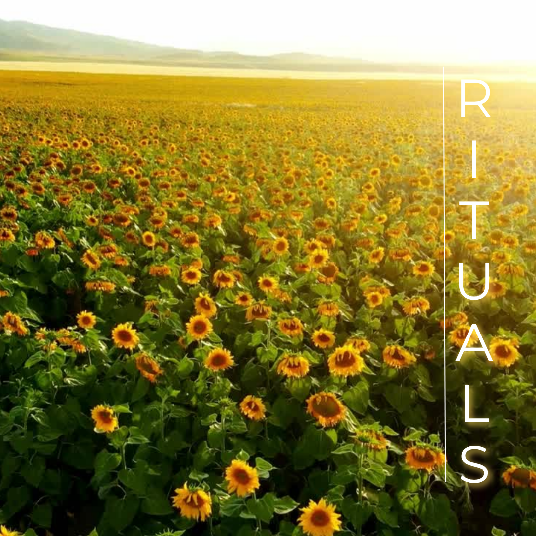 Heat, Hormones & Holding It All