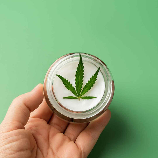 What is Cannabis Sativa? - Hipbees